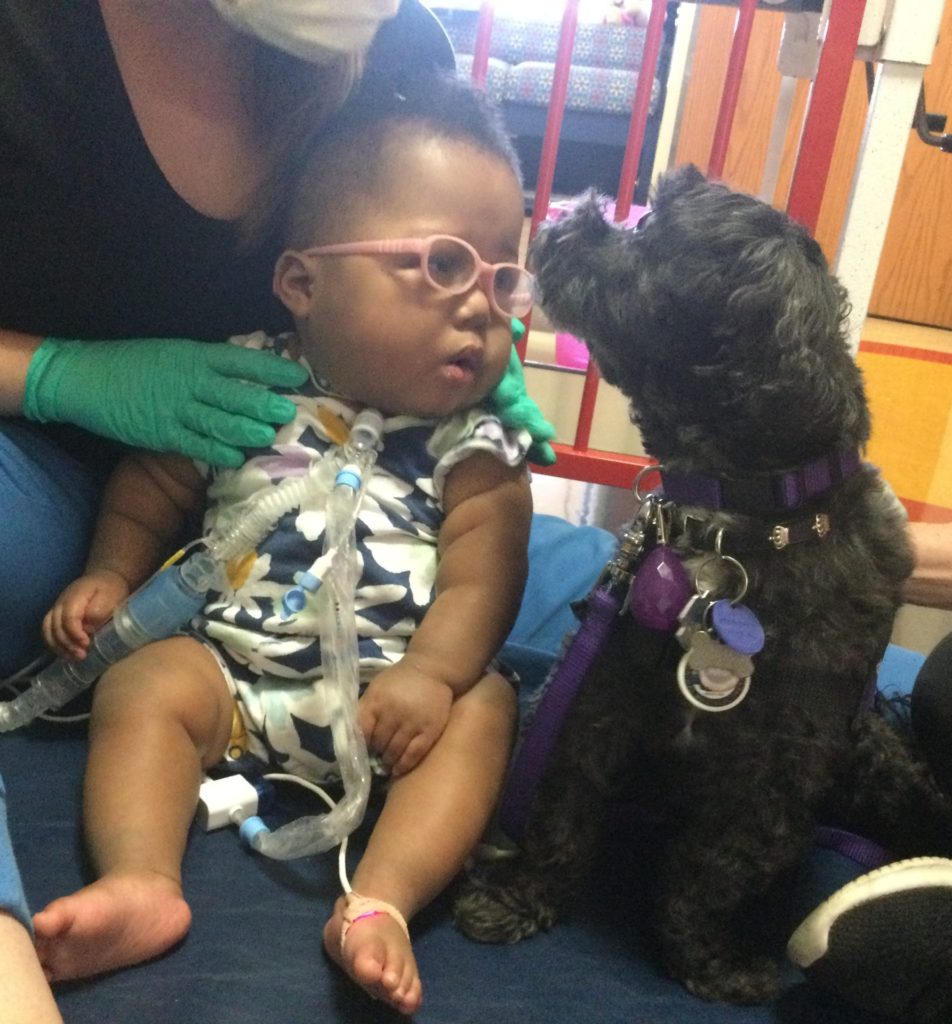 The Joy of a Canine Cuddle – La Rabida Children's Hospital